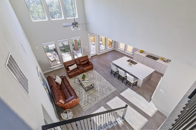 living room featuring hardwood / wood-style floors, plenty of natural light, and a high ceiling