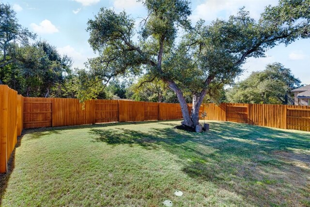 305 Terra Manor Trl, Georgetown, TX 78628 - photo 30