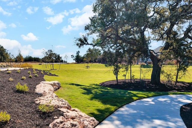 view of community with a yard