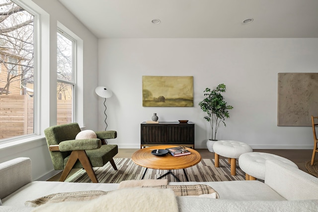 living area with wood-type flooring