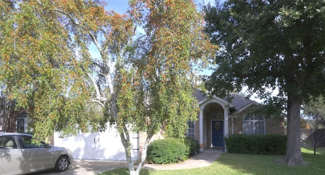 obstructed view of property with a front lawn