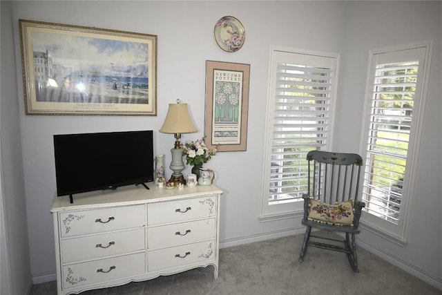 living area featuring light colored carpet