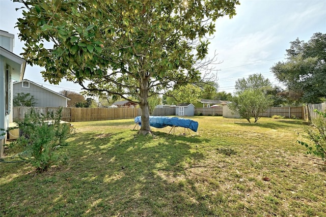 view of yard with a storage unit