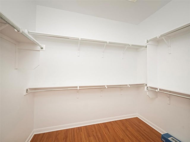 spacious closet featuring hardwood / wood-style flooring