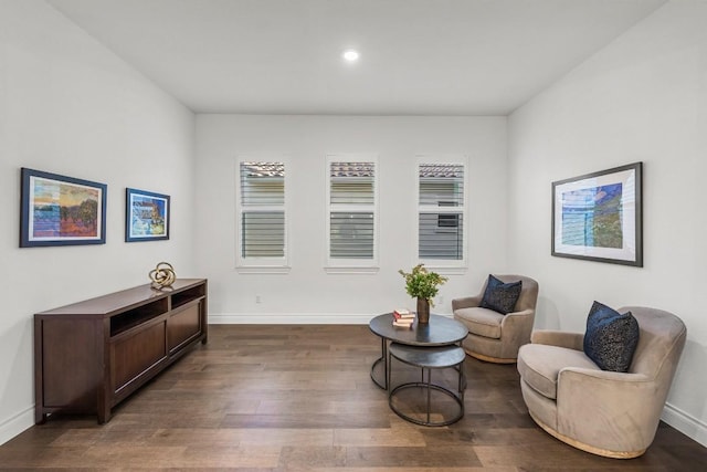 living area with dark hardwood / wood-style flooring