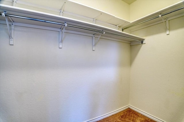 view of walk in closet