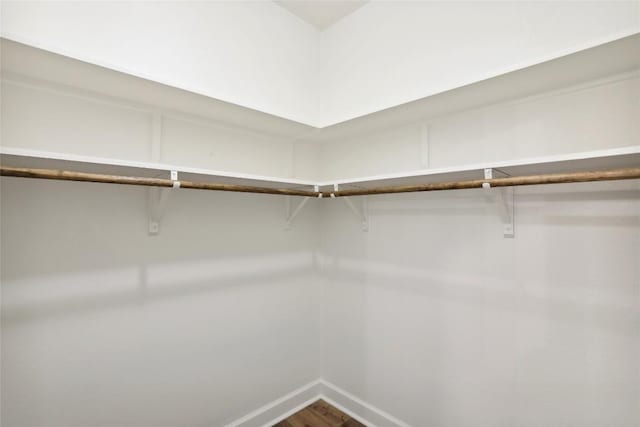 spacious closet featuring wood-type flooring