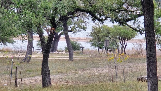 view of yard with a water view