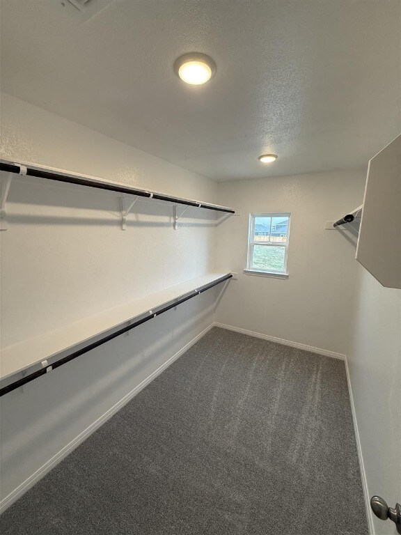 walk in closet featuring carpet floors