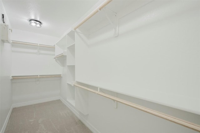 spacious closet featuring light carpet