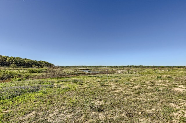 view of nature featuring a rural view