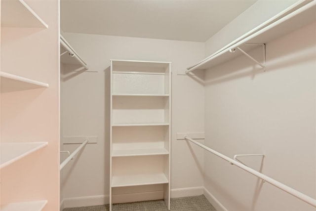 spacious closet featuring carpet floors