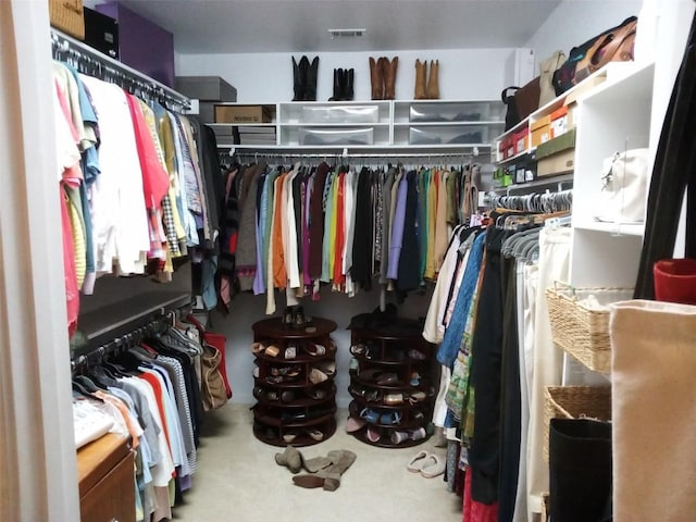 view of spacious closet