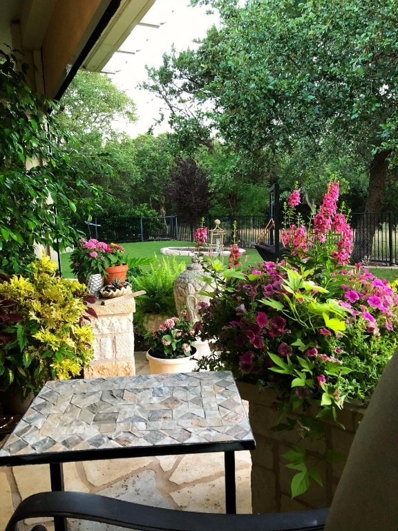 view of yard with a patio area