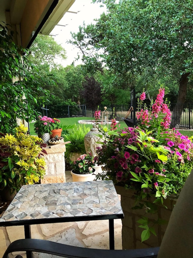 view of yard featuring a patio area