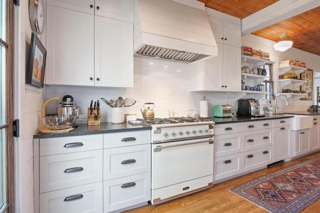 kitchen with white gas stove, decorative backsplash, custom exhaust hood, and a sink