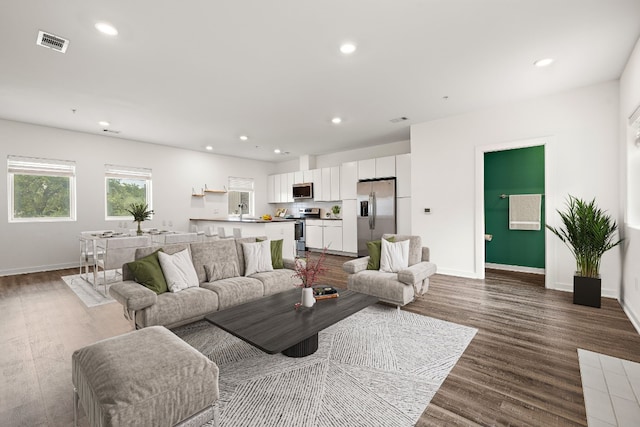 living room with hardwood / wood-style flooring and sink