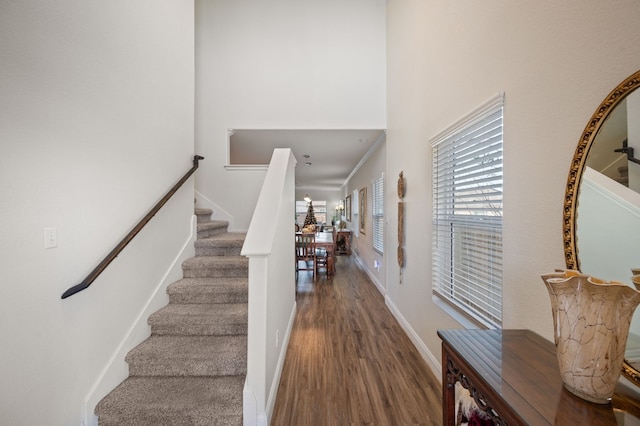 entrance foyer featuring dark hardwood / wood-style flooring