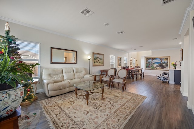 living room featuring crown molding and dark wood-type flooring