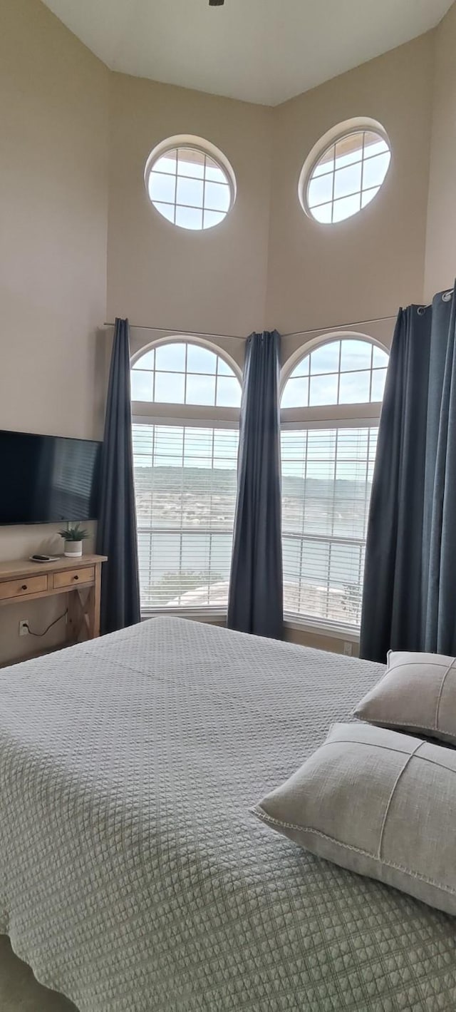 bedroom with multiple windows and a high ceiling