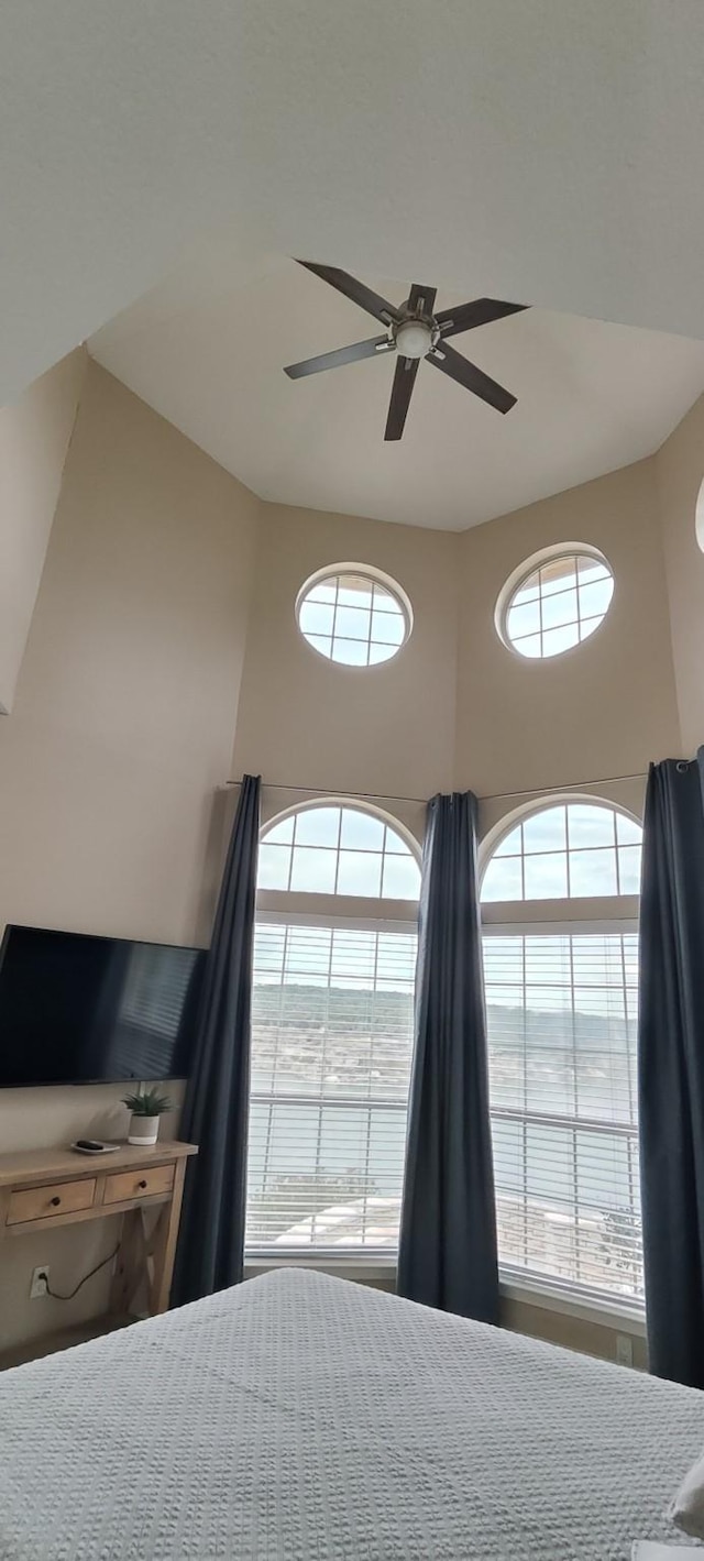 bedroom featuring ceiling fan and multiple windows