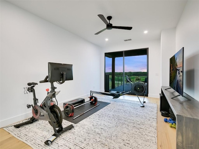 exercise room with ceiling fan and wood-type flooring