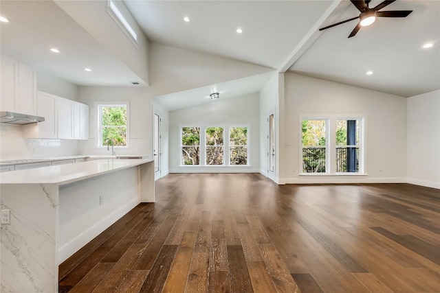 unfurnished living room with ceiling fan, a healthy amount of sunlight, dark hardwood / wood-style flooring, and high vaulted ceiling