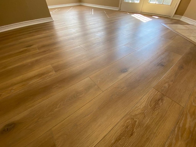 1005 N Lbj Dr Unit A-5, San Marcos, TX 78666 - detailed view of baseboards and wood finished floors
