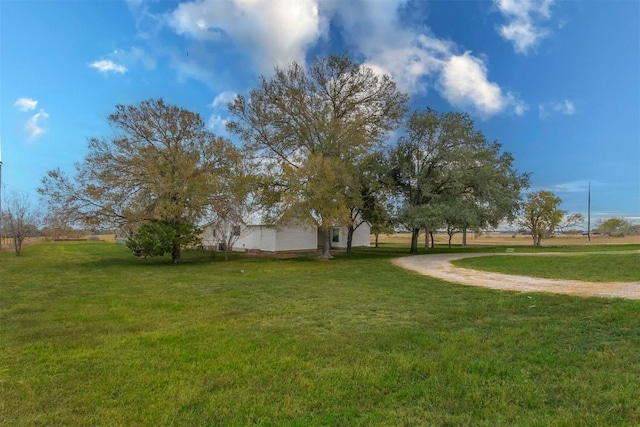 view of yard