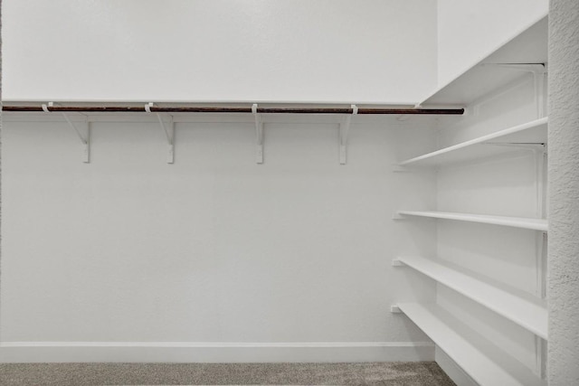 spacious closet featuring carpet flooring