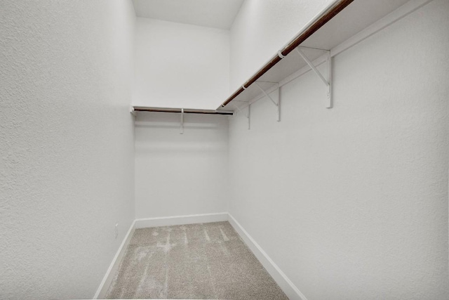 walk in closet featuring carpet