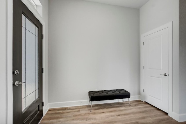 entrance foyer with light hardwood / wood-style flooring