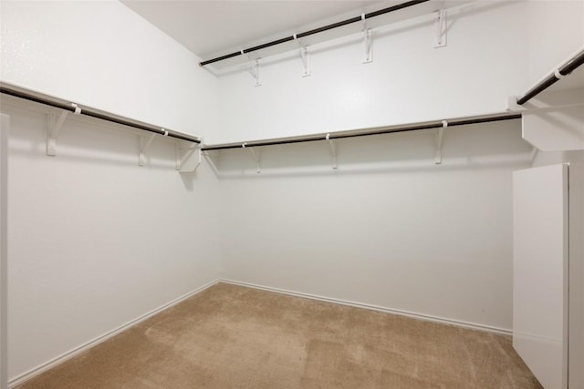 walk in closet with light carpet