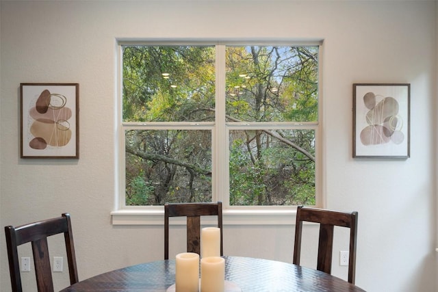 view of dining space