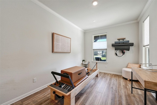 home office with crown molding and hardwood / wood-style floors