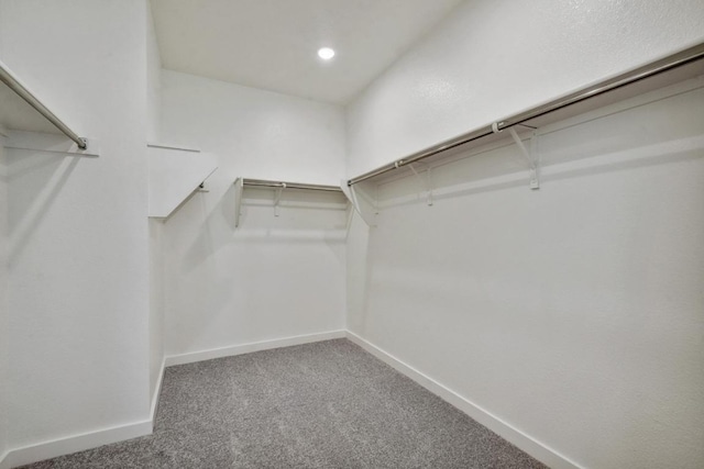 596 Biscayne Bay Bnd, Kyle, TX 78640 - walk in closet featuring carpet floors