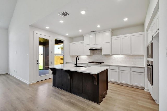 596 Biscayne Bay Bnd, Kyle, TX 78640 - kitchen featuring under cabinet range hood, backsplash, light countertops, visible vents, and a sink