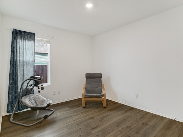 living area featuring hardwood / wood-style floors