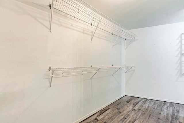 spacious closet with hardwood / wood-style flooring