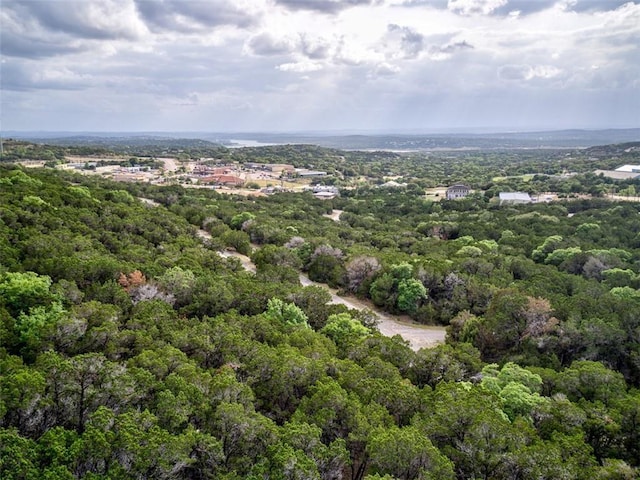 Listing photo 3 for 8133 Arroyo Ave, Lago Vista TX 78645