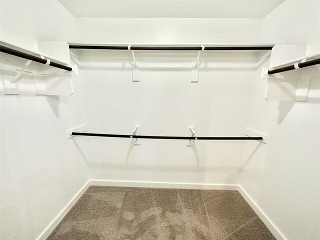 walk in closet with carpet floors