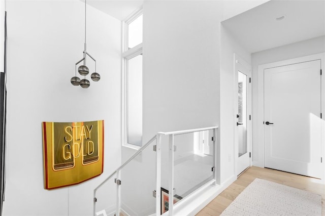 bathroom featuring hardwood / wood-style floors