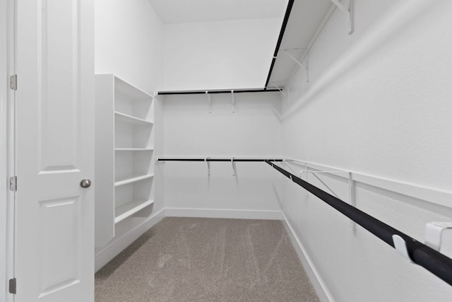 walk in closet featuring carpet floors