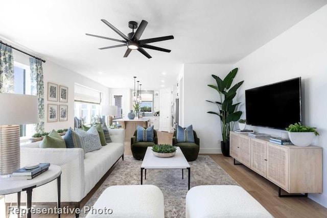 living room featuring ceiling fan and hardwood / wood-style floors