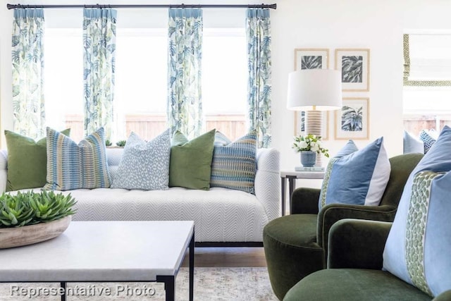 living room featuring light hardwood / wood-style floors