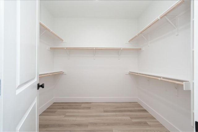 walk in closet with light hardwood / wood-style flooring