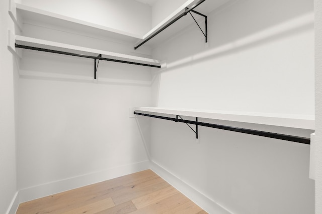 spacious closet with hardwood / wood-style flooring