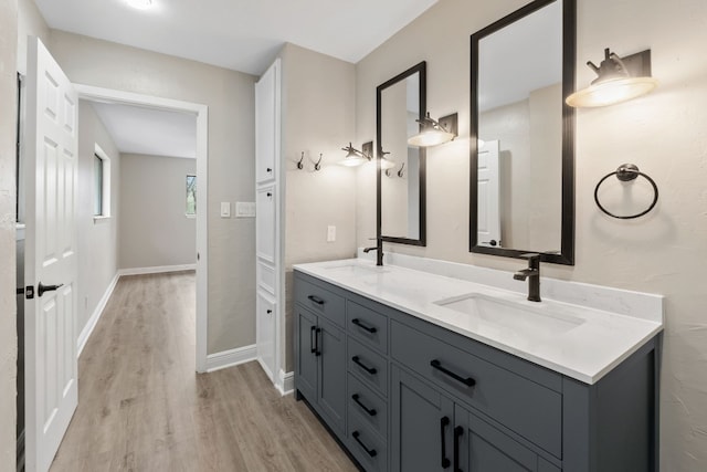 bathroom with hardwood / wood-style floors and vanity