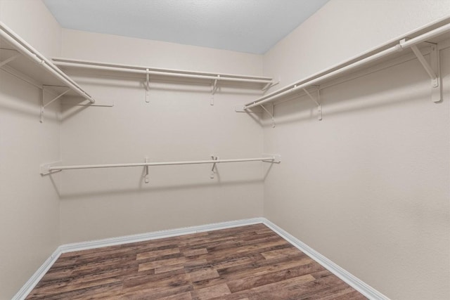 walk in closet featuring dark hardwood / wood-style flooring