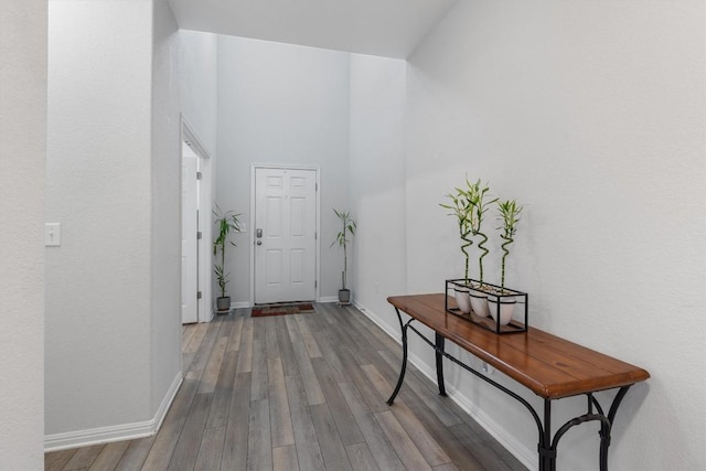 interior space featuring hardwood / wood-style floors and a towering ceiling